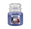 COUNTRY CANDLE DUFTKERZE MITTLERES GLASS BLUEBERRY CREAM POP 453G