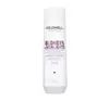 GOLDWELL DUALSENSES BLONDES & HIGHLIGHTS SHAMPOO FÜR BLONDE HAARE 250ML