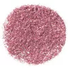 NYX PROFESSIONAL MAKEUP GLITTER BRILLANTS FÜR GESICHT UND KÖRPER 02 2.5G