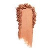 WET N WILD COLOR ICON ROUGE NUDIST SOCIETY 6G