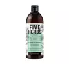 BARWA FIVE HERBS SHAMPOO FÜR NORMALES UND FETTIGES HAAR 480ML