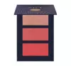 PIERRE RENE ART CONTOURING PALETTE 01 12G