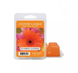 COUNTRY CANDLE DUFTWACHS SUNSHINE & DAISIES 64G