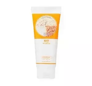 HOLIKA HOLIKA DAILY REINIGUNGSSCHAUM FÜRS GESICHT REIS 150 ML