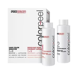 PROSALON PROFESSIONAL COLORPEEL HAARENTFÄRBER 2x100G