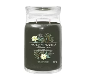 YANKEE CANDLE SIGNATURE DUFTKERZE SILVER SAGE & PINE 567G