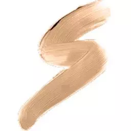 GOLDEN ROSE HD CONCEALER MIT PINSEL 07