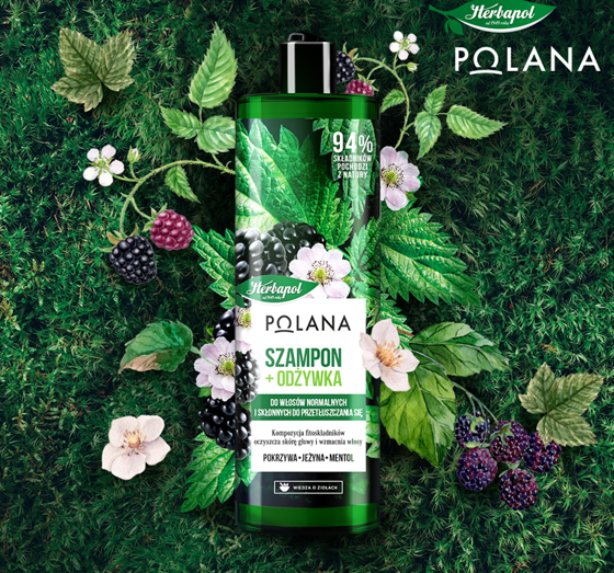 HERBAPOL POLANA SHAMPOO + CONDITIONER FÜR FETTIGES HAAR 400ML