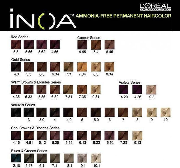 LOREAL PROFESSIONNEL iNOA HAARFARBE OHNE AMMONIAK 1 60G