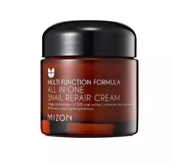 MIZON ALL IN ONE SNAIL CREME MIT SCHNECKENSCHLEIM 75 ML