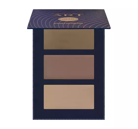 PIERRE RENE ART CONTOURING PALETTE 02 12G