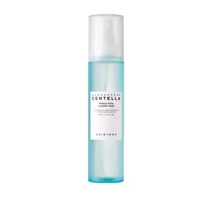 SKIN1004 HYALU-CICA CLOUDY MIST GESICHTSSPRAY 120ML