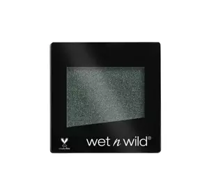 WET N WILD COLOR ICON LIDSCHATTEN E350A ENVY 1,7G