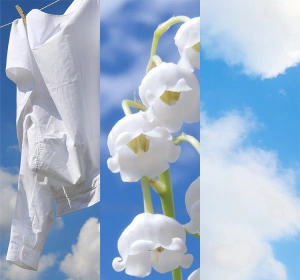 Yankee Candle Auto-Lufterfrischer Clean Cotton 4 Stück