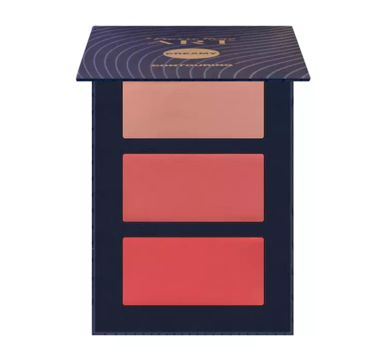 PIERRE RENE ART CONTOURING PALETTE 01 12G