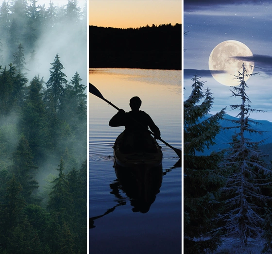 Kliknij na zdjęcie, aby je powiększyć Yankee Candle Auto-Lufterfrischer Midsummer's Night 4 Stück