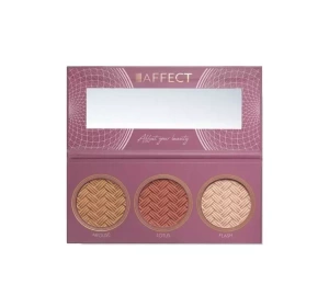 AFFECT JUST THE TWO OF US GIFT SET EYESHADOW PALETTE + CONTOURING PALETTE