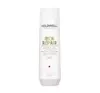 GOLDWELL RICH REPAIR RESTORING SHAMPOO 250 ML