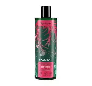 VIS PLANTIS SHAMPOO FÜR FETTIGES HAAR 400 ML