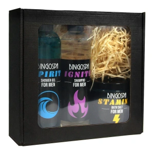 BINGOSPA Pflege-Set für Männer: Duschgel 300 ml + Haarshampoo 300 ml + Badesalz 300 g