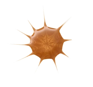 Essence Drop of Sunshine Bräunungstropfen 25 ml