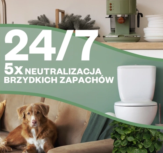Air Wick 24/7 Active Fresh Set Automatischer Lufterfrischer + Nachfüller Fruchtige Sangria