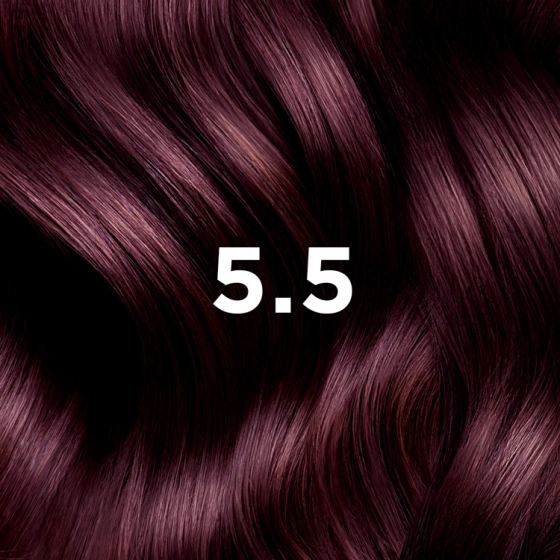 Phyto Hair Color Haarfarbe 5.5 Hellmahagoni-Braun