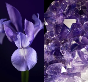 Oriflame Royal Velvet Straffende Nachtcreme 50 ml