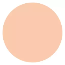 HOLIKA HOLIKA FACE 2 CHANGE SPF 40 KREM BB-CREME IN EINER ROLLE 23 30ML