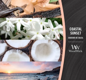 WOODWICK ELLIPSE CANDLE DUFTKERZE COASTAL SUNSET 453,6G