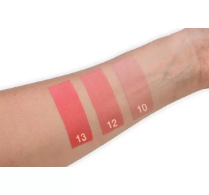 PIERRE RENE ART CONTOURING PALETTE 01 12G