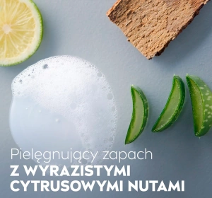 NIVEA MEN PROTECT CARE DUSCHGEL 500 ML