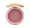 AFFECT DREAM CREAM CREMIGES WANGENROUGE TOKYO 10G