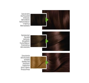 GARNIER COLOR NATURALS PERMANENTE HAARFARBE 4.15 FROSTIGE KASTANIE