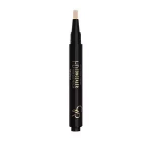 GOLDEN ROSE HD CONCEALER MIT PINSEL 03