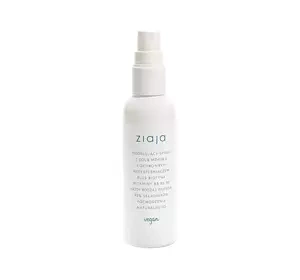Ziaja Vegan modellierendes Spray mit Meersalz für strapaziertes Haar 90ml