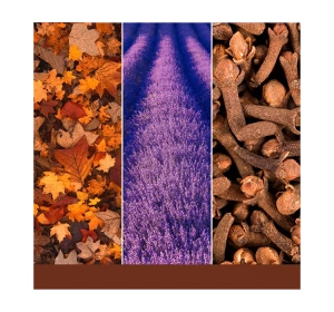 Yankee Candle Duftwachs Autumn Daydream 22 g