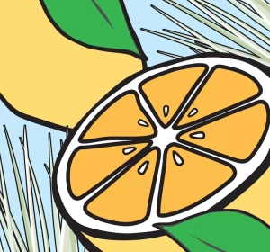 Mexx Whenever Wherever for Him Eau de Toilette Spray 50 ml