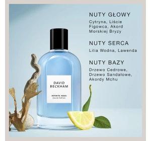 David Beckham Infinite Aqua Eau de Parfum Spray 100ml