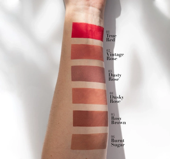 PIERRE RENE COVER MATTE MATTER LIPPENSTIFT 05 ROSY BROWN 5ML