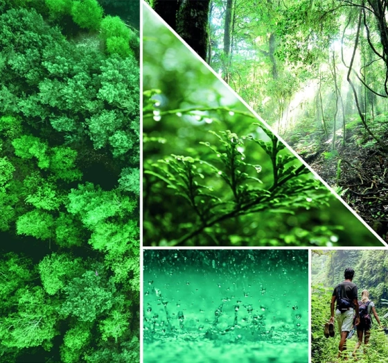 Kliknij na zdjęcie, aby je powiększyć YANKEE CANDLE CAR JAR AUTODUFT BAYSIDE CEDAR