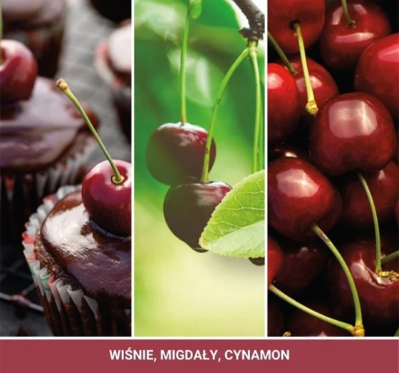 Kliknij na zdjęcie, aby je powiększyć Yankee Candle Signature Duftkerze Tumbler Black Cherry 122g