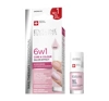 EVELINE NAIL THERAPY 6IN1 CARE AND COLOUR SALON EFFECT NAGELPFLEGE MIT FARBE PINK 5ML