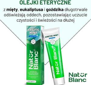 Sylveco Natur Blanc Erfrischende Zahnpasta Arctic Mint 100ml