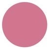 GOLDEN ROSE SATIN LIPPENSTIFT 10 4,2G