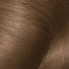 GARNIER OLIA PERMANENTE HAARFARBE OHNE AMMONIAK 6.0 HELLES BRAUN