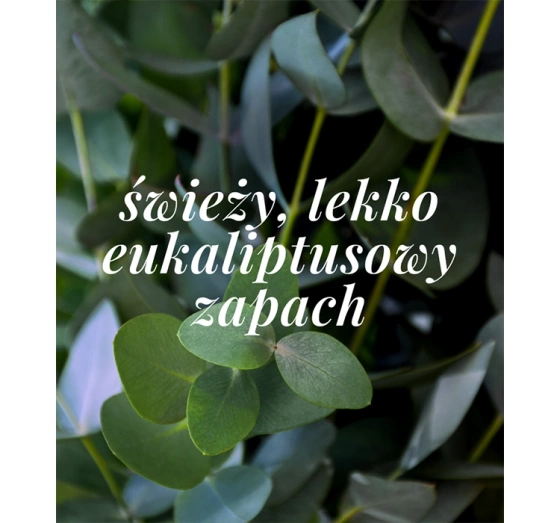 Kliknij na zdjęcie, aby je powiększyć Veoli Botanica Shield Me Daily Mineralisches Roll-On Deodorant für normale Haut 50 ml