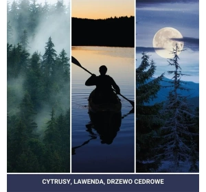 YANKEE CANDLE CAR JAR ULTIMATE AUTODUFT MIDSUMMER'S NIGHT