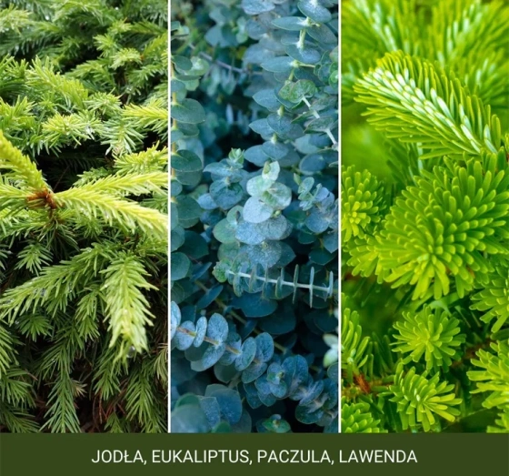 Kliknij na zdjęcie, aby je powiększyć Yankee Candle Signature Mini-Duftkerze Shimmering Christmas Tree 37 g