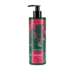 VIS PLANTIS SPÜLUNG FÜR FETTIGES HAAR 400 ML